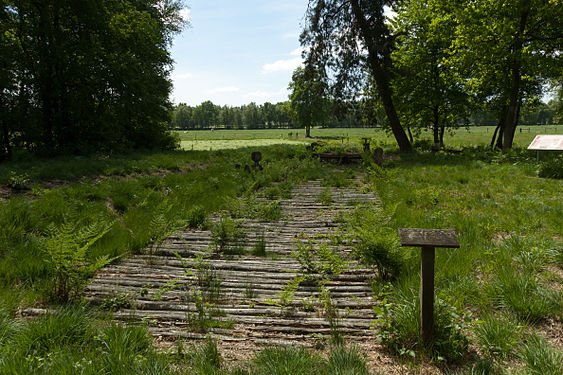 Bohlenweg im Wittemoor