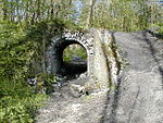 Petit pont dans le Bois de Colfontaine permettant le passage des piétons sous le chemin de fer (le chemin de fer n'existe plus depuis la suppression des mines)