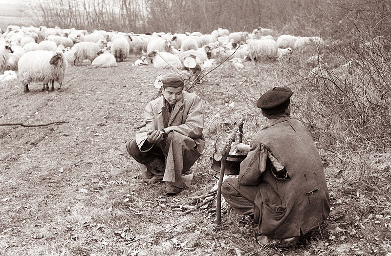 File:Bosanska pastirja v Središču ob Dravi 1961 (2).jpg