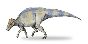 Maiassaura, Dinossauro Rei Wiki