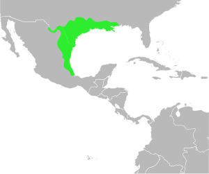 Bufo nebulifer distribution.svg