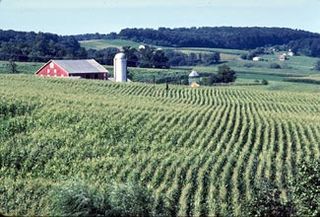 <span class="mw-page-title-main">Agriculture in Maryland</span>