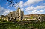 Ruins of Cartington Castle Cartington Castle (2) (geograph 3470767).jpg