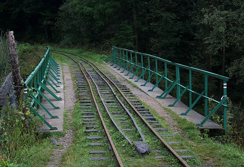 File:Cisna kolej wąskotorowa most nad Solinką 31.08.2010 p.jpg