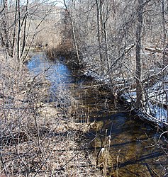 Remnants of the Clinton-Kalamazoo Canal in Macomb County