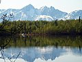 Cottonwood Lake, near Wasilla, Alaska.jpg