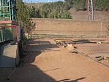 Un diumenge de primaver a la tarda al parc de Can Mercader, a Cornellà de Llobregat.