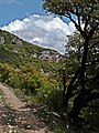 Gorges de la Nesque