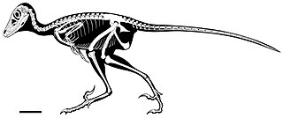 <i>Daurlong</i> Genus of dromaeosaurid dinosaurs