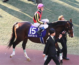 <span class="mw-page-title-main">Delta Blues (horse)</span> Japanese-bred Thoroughbred racehorse