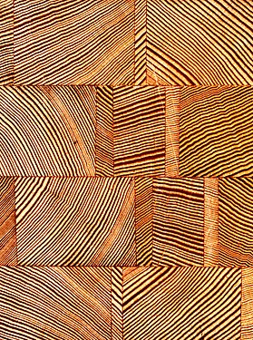 Detail of end grain cutting board up-cycled from a railforad card salvage and probably made of Douglas fir