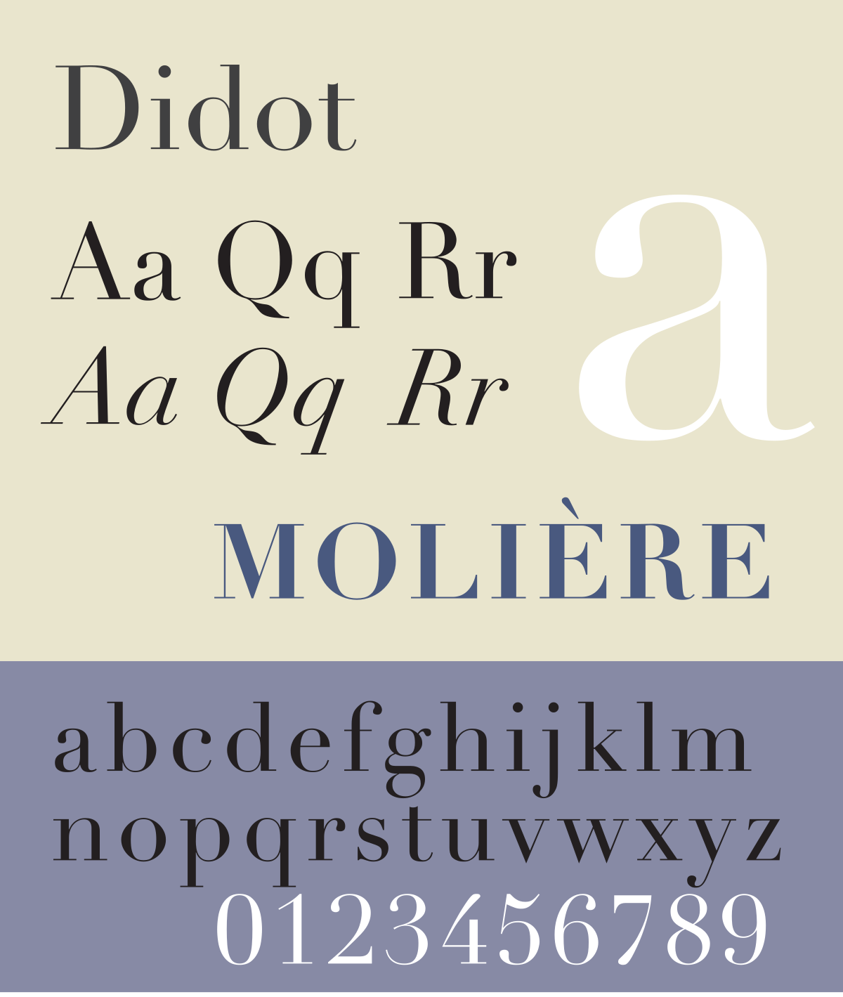 didot typeface