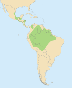 Utbredelseskart for gulvingerødara