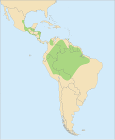 Distribution Ara macao.svg