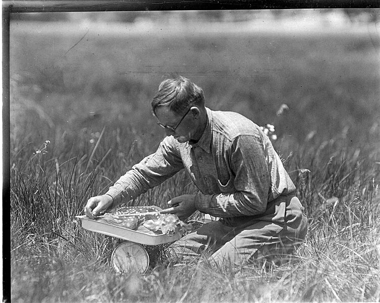 File:Dixon and fawn, Yosemite, Calif, July 10, 1928, (45c0c97939914b76972070f439d98061).jpg