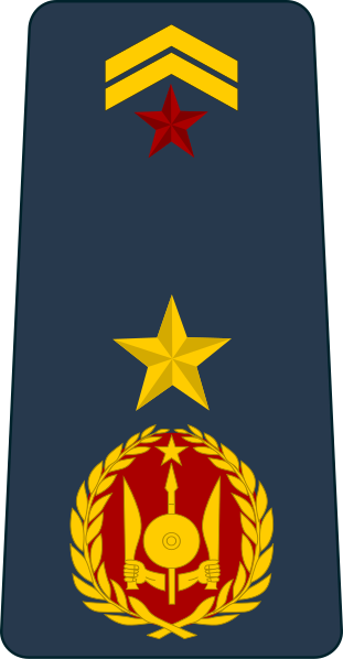 File:Djibouti-Airforce-OF-4.svg