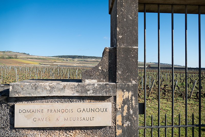 File:Domaine Francois Gaunoux (157454005).jpeg