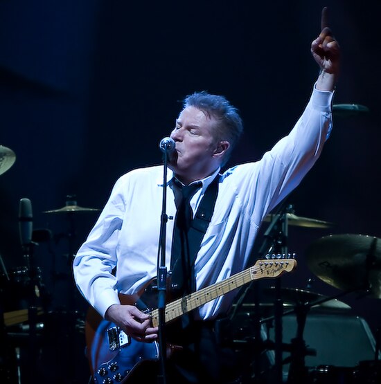 Don Henley wrote the lyrics to "Hotel California" with Frey.