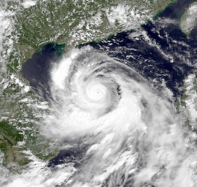 1989 Pacific typhoon season