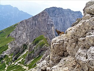 <span class="mw-page-title-main">Julian Prealps Natural Park</span> Nature reserve in Friuli Venezia Giulia, Italy