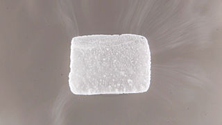 <span class="mw-page-title-main">Dry ice</span> Solid carbon dioxide