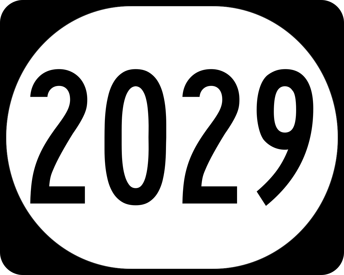 Какой год 2029