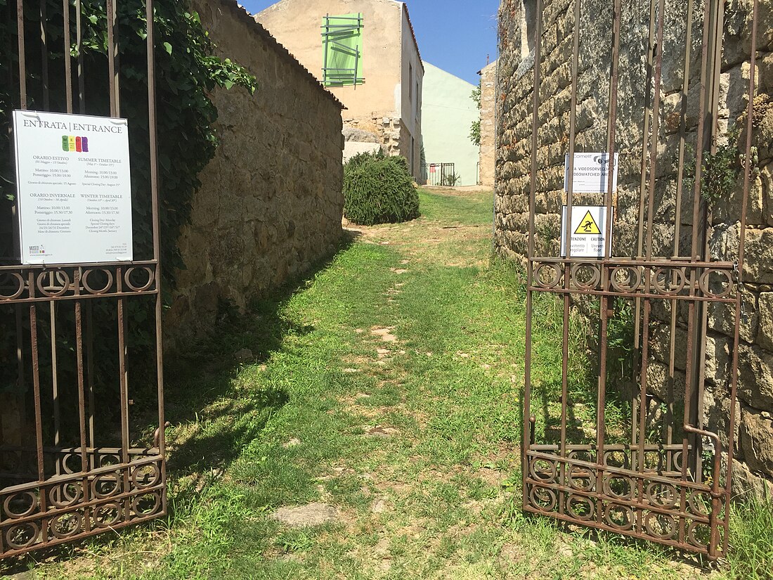 Museo etnografico Oliva Carta Cannas