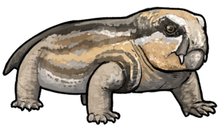 <i>Eodicynodon</i> Extinct genus of dicynodonts