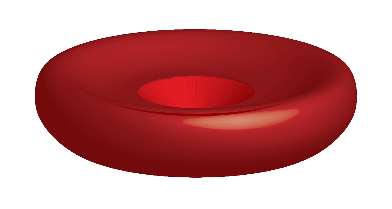 File:Erythrocyte.svg - Wikimedia Commons