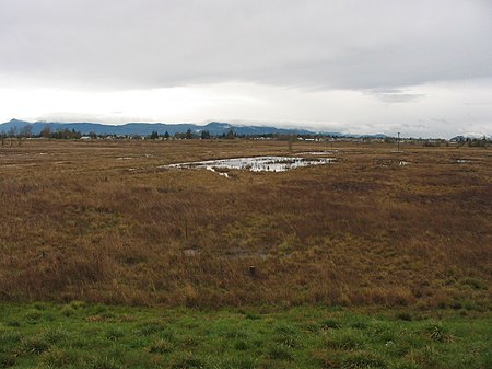 Eugene wetlands