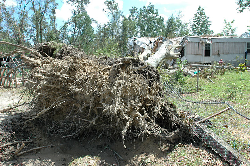 File:FEMA - 13892 - Photograph by Mark Wolfe taken on 07-13-2005 in Alabama.jpg