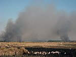 St. Johns National Wildlife Refuge