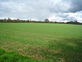 Farmland west of Steventon - geograph.org.uk - 2960339.jpg