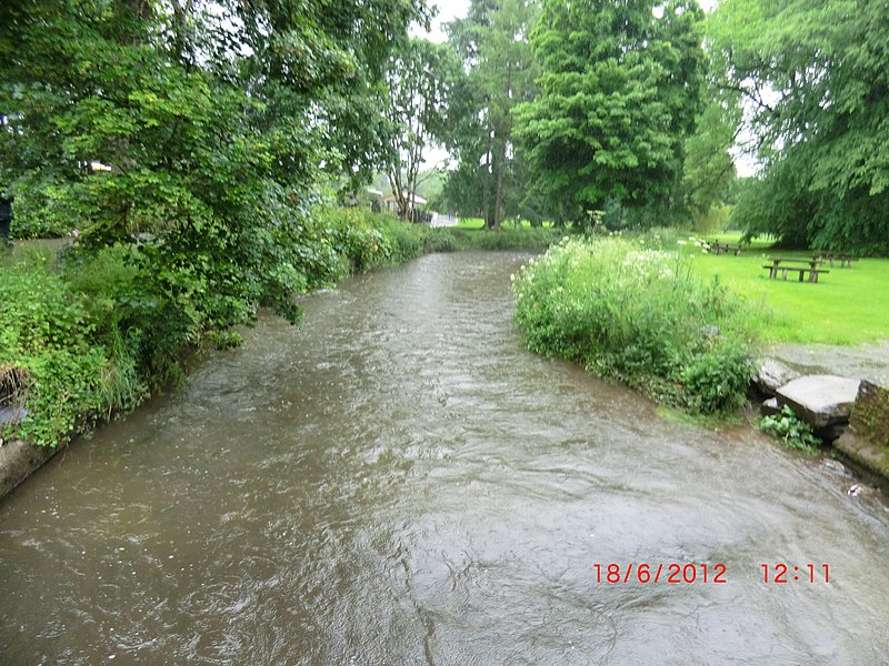 File:Fast stream through Blarney Castle Grounds - panoramio.jpg