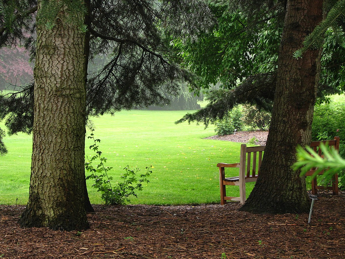 Riverside garden