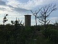 Fenwick Island State Park Observation Tower 02.jpg