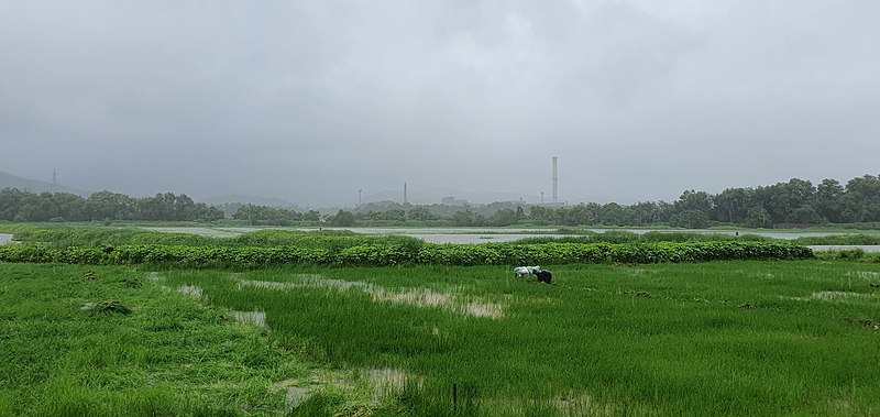 File:Fields of Camurlim.jpg