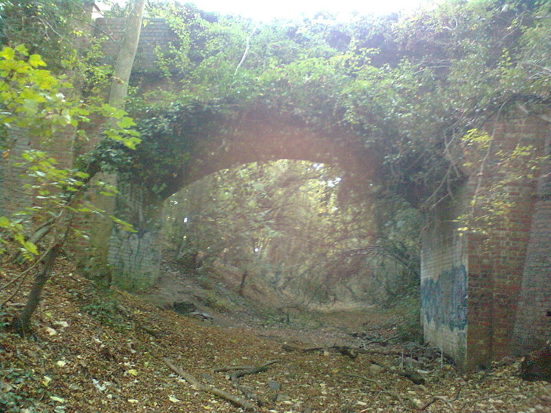 File:Footbridge over the abandoned railway (geograph 2650884).jpg