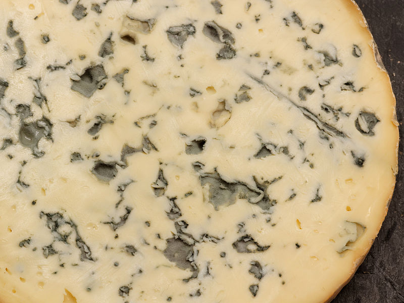 File:Fourme d'Ambert 06.jpg