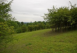 Fraser Down - geograph.org.uk - 1351655.jpg