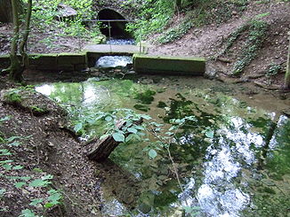 Runoff from the Frisian spring