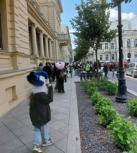 File:Furwalk in Łódź Moniuszki Street 2.jpg