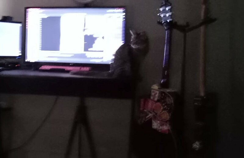 File:Gato pc guitarras.jpg