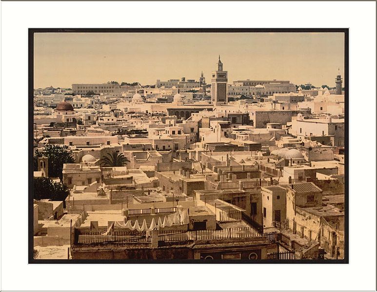 File:General view from Paris Hotel Tunis Tunisia.jpg