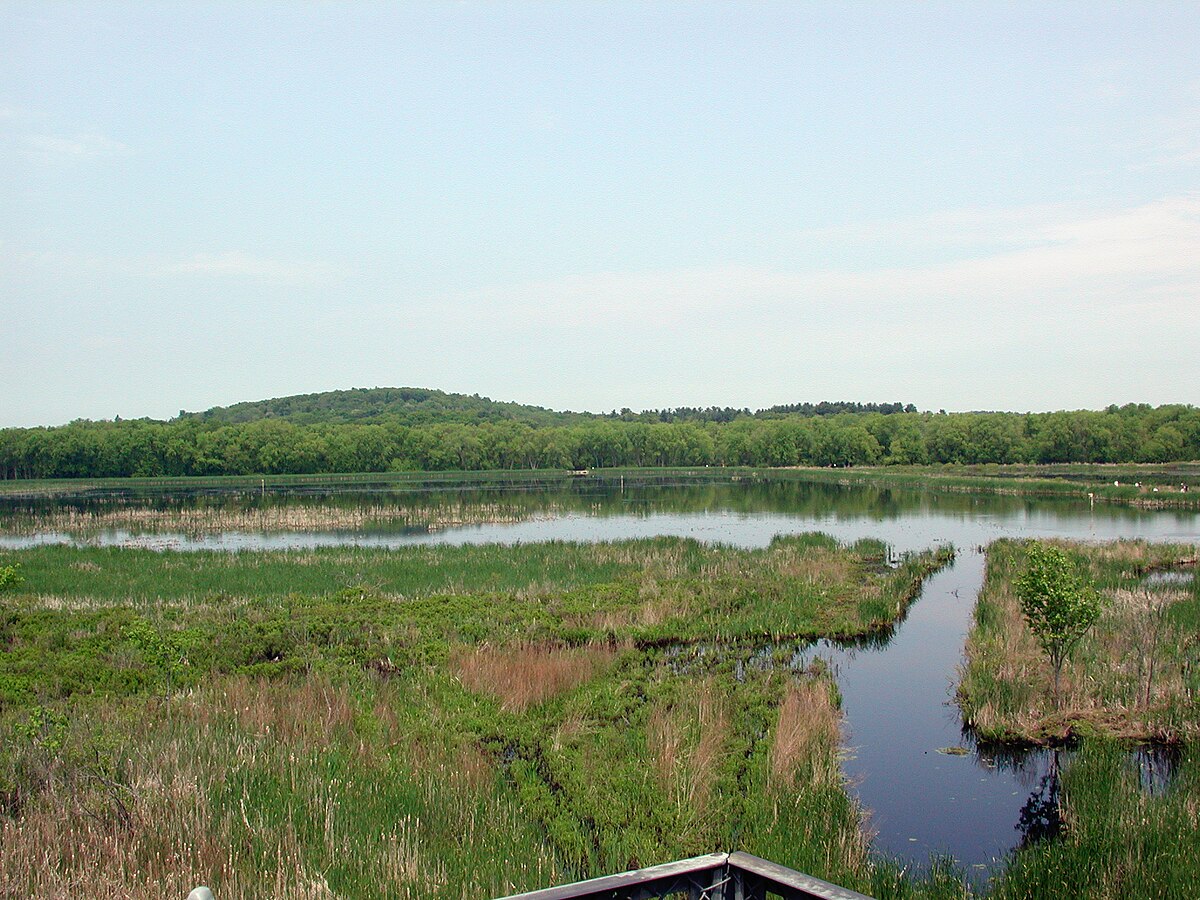 Great Meadows National Wildlife Refuge Wikipedia