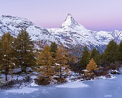 Pastel-coloured autumnal dawn by the frozen Grindjisee