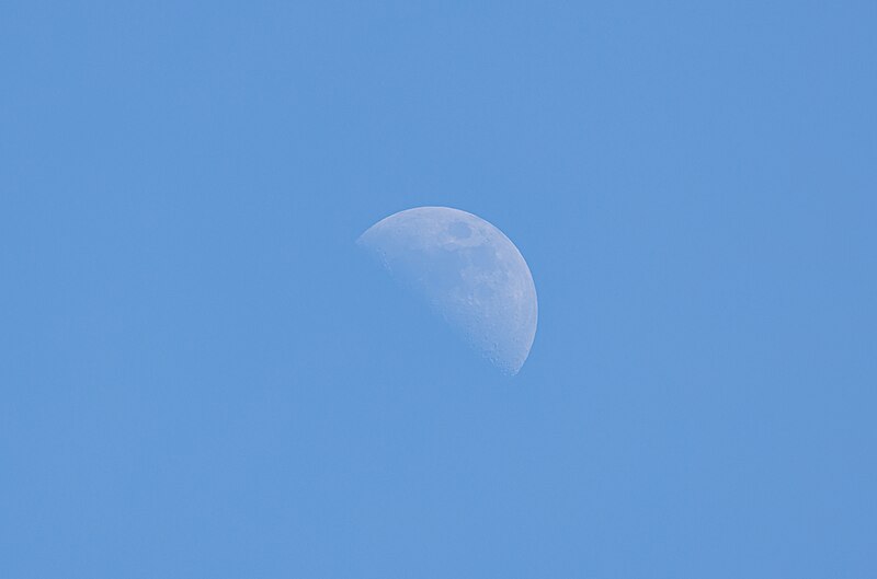 File:HALF MOON IN JANUARY 18 2024.jpg