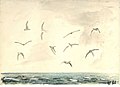 "HAL_JOS_TERNS_SYLT.jpg" by User:Ventus55