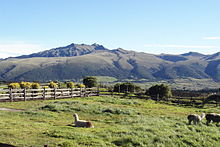 The tasks of the fourth leg were set on the Hacienda El Porvenir at the base of Cotopaxi. Hacienda El Porvenir.jpg