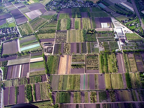 Baumschulenweg Groß Twülpstedt